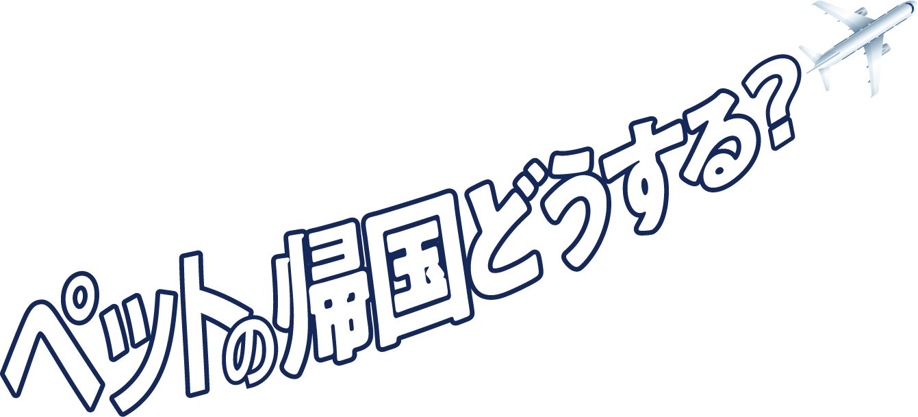 帰国編 イギリスから日本に向けてペットの帰国どうする？教えて エコノムーブジャパン！